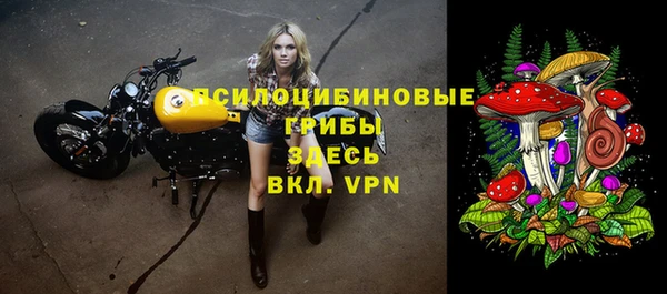 spice Переславль-Залесский