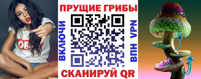 KRAKEN зеркало  Сорск  Псилоцибиновые грибы GOLDEN TEACHER 